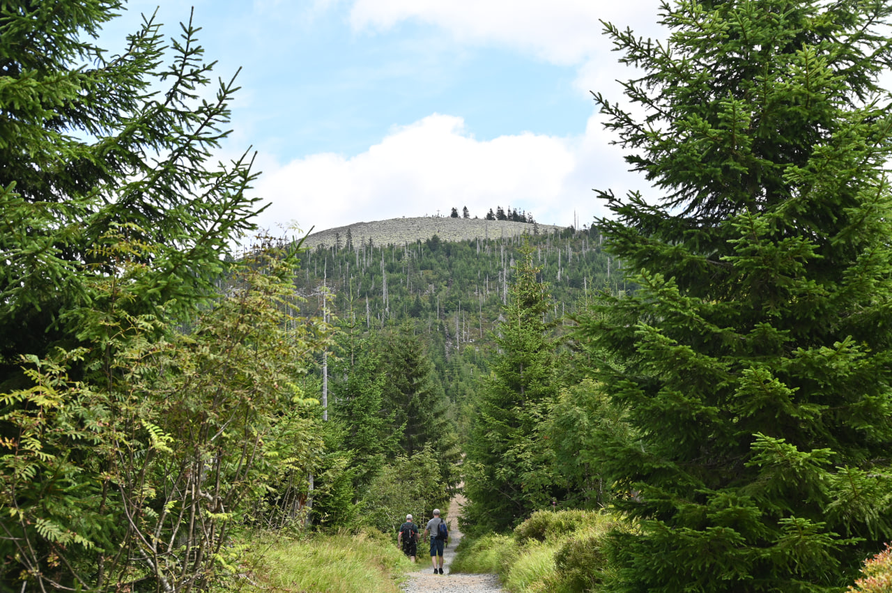 Tag 5 – Über Teufelsloch und Himmelsleiter auf den Lusen