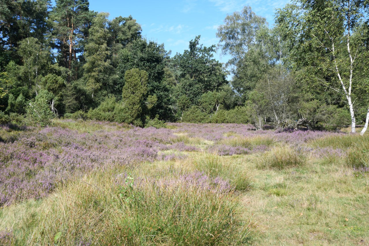 Tag 2 – Nordheide und Hamburg